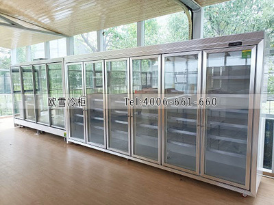 農(nóng)產(chǎn)品展銷配送中心食品冷藏冷凍展示柜選購指南與禮品花卉銷售策略