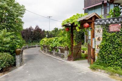 踐行“兩山”理念，大云鎮以花卉經濟激活村集體發展新動能